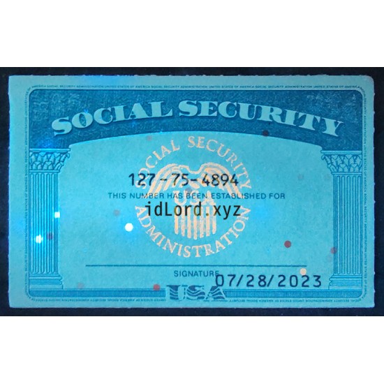 SSN Card SSN Card