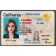 California Authentic id front side California Authentic id front side