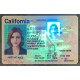 California Authentic IDs California Authentic IDs