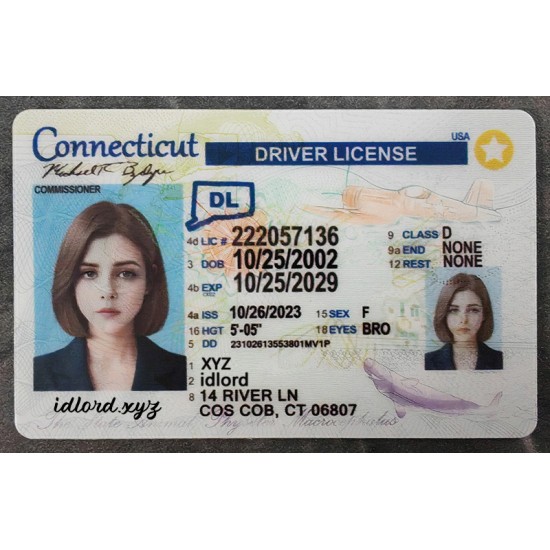 Connecticut Authentic id front side Connecticut Authentic id front side