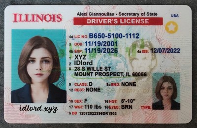 Illinois Authentic id front side