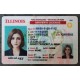 Illinois Authentic id front side Illinois Authentic id front side