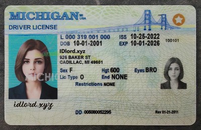 Michigan Authentic id front side