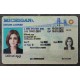 Michigan Authentic id front side Michigan Authentic id front side