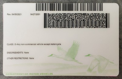 Nebraska Authentic Dirvers Licence