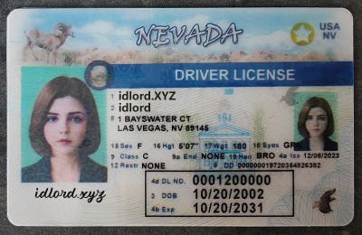 Nevada Authentic id front side