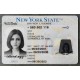 New York Authentic id front side New York Authentic id front side