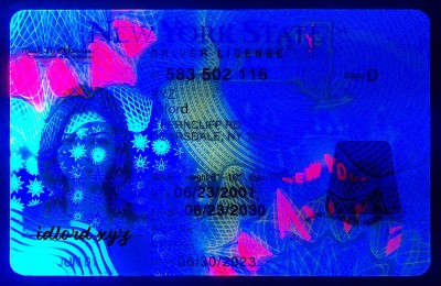New York Authentic Dirvers Licence