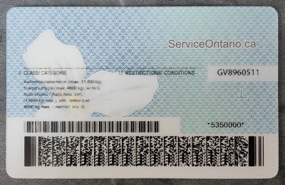Ontario Authentic Dirvers Licence