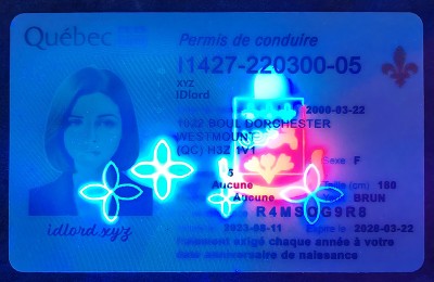 Quebec Authentic Dirvers Licence