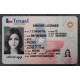 Texas Authentic id front side Texas Authentic id front side