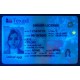 Texas Authentic Dirvers Licence Texas Authentic Dirvers Licence